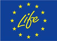 Life_logo