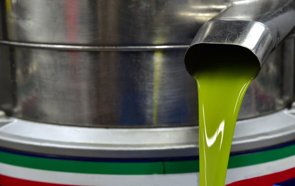 Produzione olio extravergine di oliva 