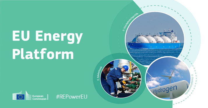 EU energy platform