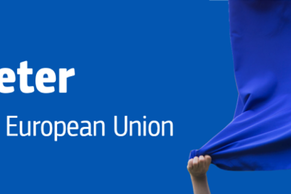 Eurobarometro con immagine bandiera UE
