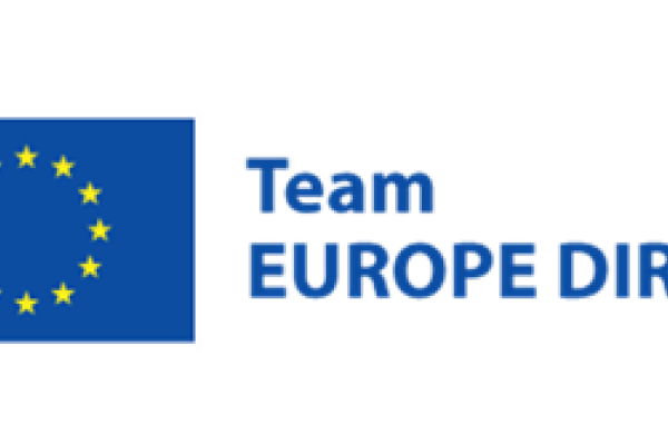 Logo Team Europe Direct